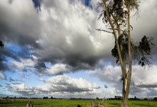 JN江南体育官网：2023卡塔爾亞洲杯C組較量：伊朗vs阿聯酋，賽事實錄與數據統計！.