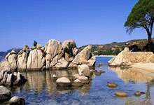 [NBA]米切尔手感火热 追身三分一箭穿心.